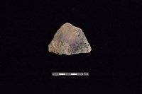 藏品(陶片)的圖片